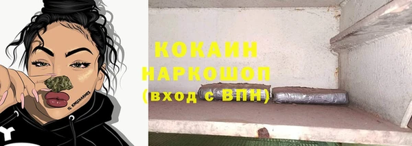дмт Новодвинск