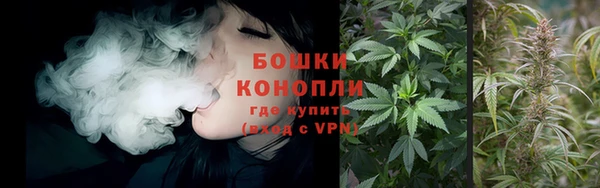 дмт Новодвинск