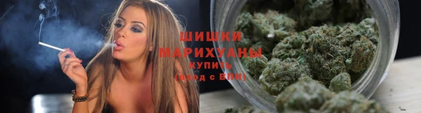 дмт Новодвинск