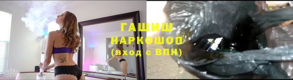 дмт Новодвинск