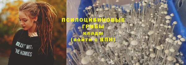 бошки Новозыбков