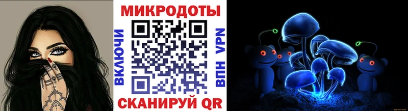 Галлюциногенные грибы Cubensis продажа наркотиков Пучеж